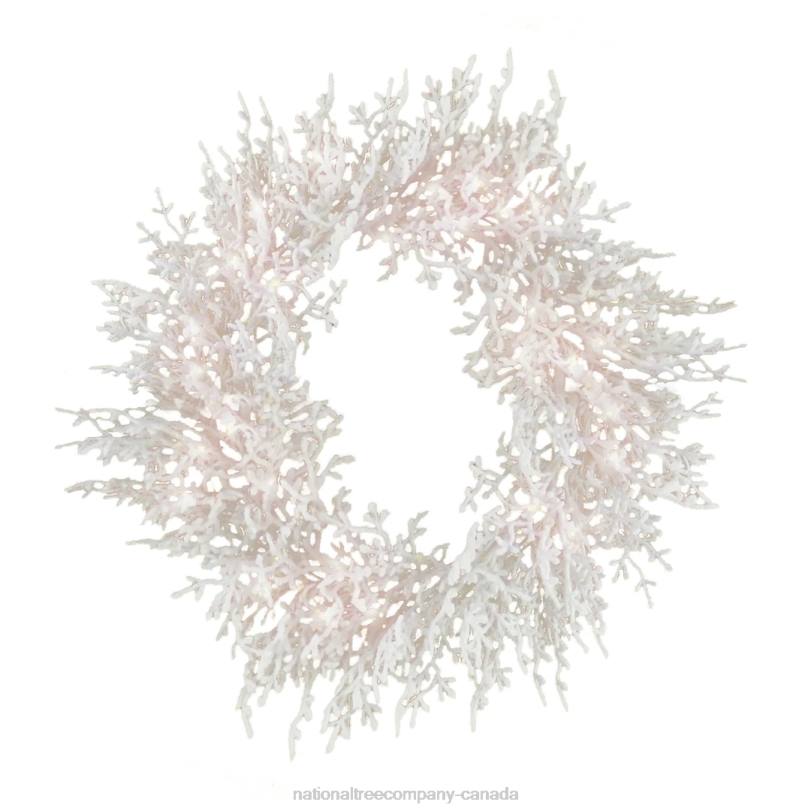 H4X0292National Tree Company 30in HGTV Home Collection Pre-Lit Christmas by the Sea Coral Wreath