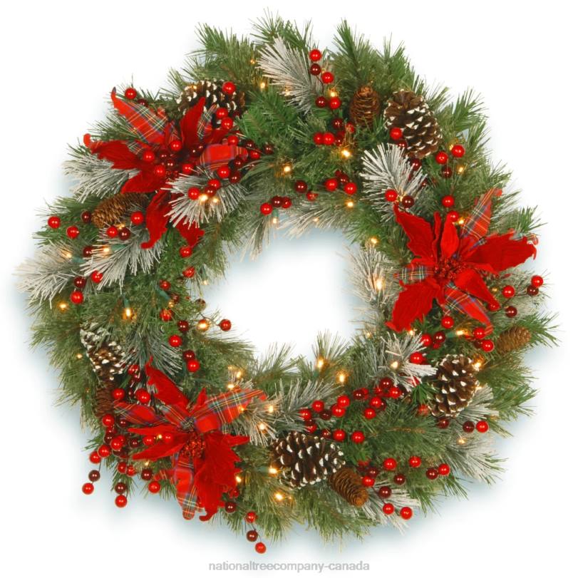 H4X0300National Tree Company Pre-Lit Artificial Christmas Wreath, Green, Tartan Plaid, White Lights, Decorated with Frosted Branches, Pine Cones, Berry Clusters, Flowers, Christmas Collection, 30 Inch