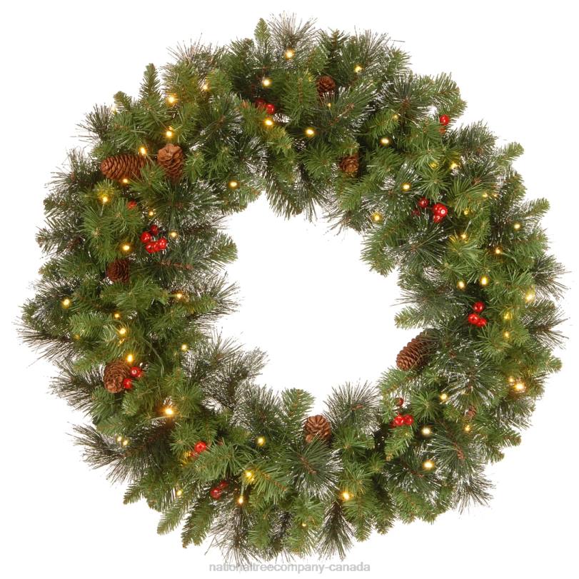 H4X0301National Tree Company Pre-Lit Artificial Christmas Wreath, Crestwood Spruce with Twinkly LED Lights, Plug in, 30 in