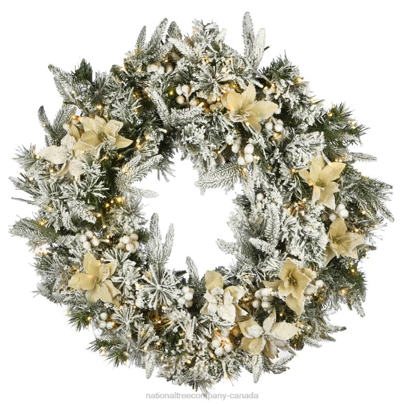 H4X0317National Tree Company 30in Frosted Colonial Fir Wreath with Dual Color LED Cosmic Lights