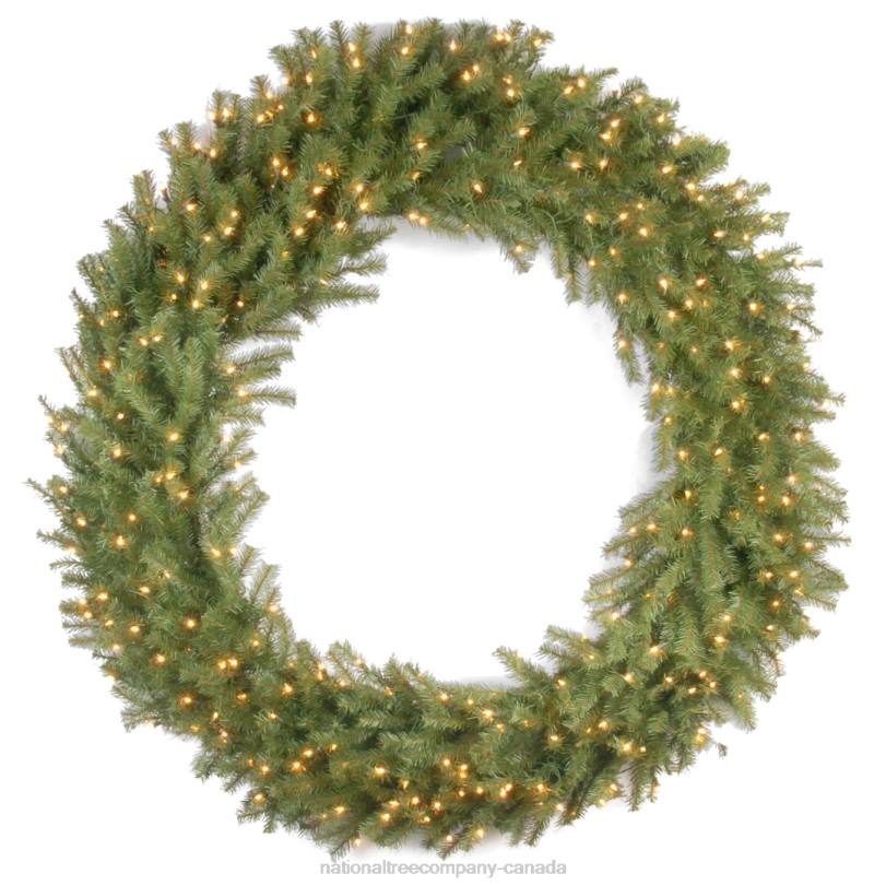 H4X0229National Tree Company Pre-Lit Artificial Christmas Wreath, Green, Norwood Fir, White Lights, Christmas Collection, 60 Inches
