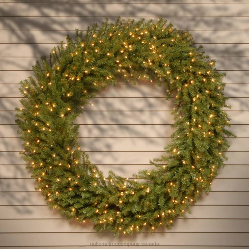H4X0229National Tree Company Pre-Lit Artificial Christmas Wreath, Green, Norwood Fir, White Lights, Christmas Collection, 60 Inches