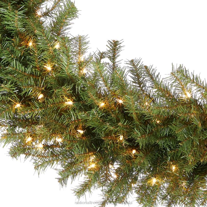 H4X0230National Tree Company Pre-Lit Artificial Christmas Wreath, Green, Norwood Fir, White Lights, Christmas Collection, 48 Inches
