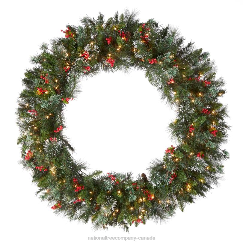 H4X0240National Tree Company Pre-Lit Artificial Christmas Wreath, Green, Wintry Pine, White Lights, Decorated with Pine Cones, Berry Clusters, Frosted Branches, Christmas Collection, 48 Inches