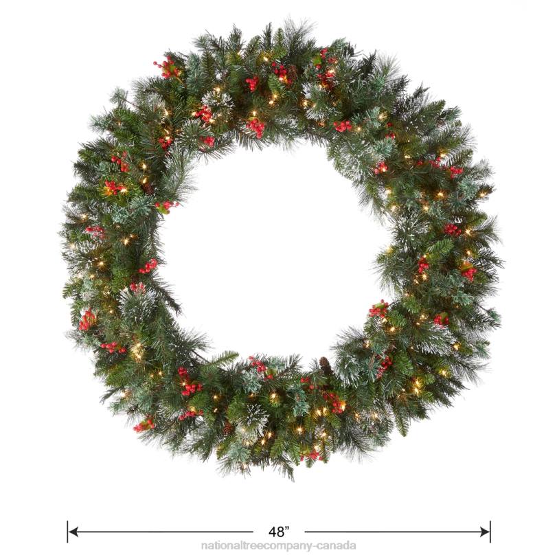 H4X0240National Tree Company Pre-Lit Artificial Christmas Wreath, Green, Wintry Pine, White Lights, Decorated with Pine Cones, Berry Clusters, Frosted Branches, Christmas Collection, 48 Inches