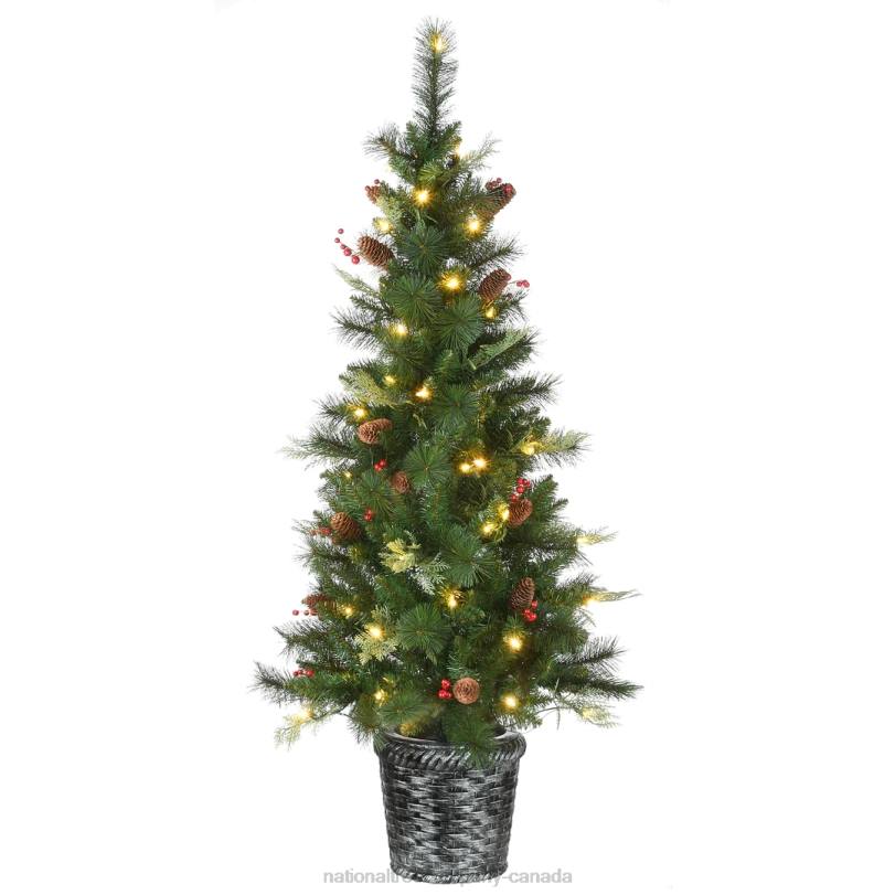 H4X0106National Tree Company Pre-Lit Artificial Christmas Entrance Tree, Buzzard Pine, with Warm White LED Lights, Plug in, 5 ft