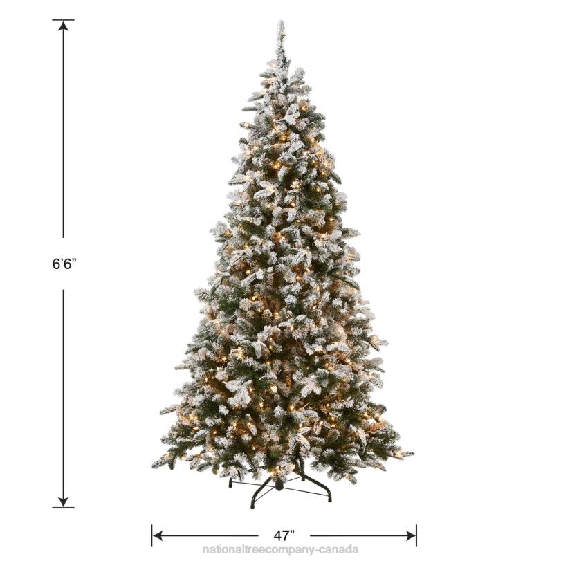 H4X0146National Tree Company Pre-Lit 'Feel Real' Artificial Christmas Tree, Everest Fir, Green, White Lights, Includes Stand, 6.5 Feet