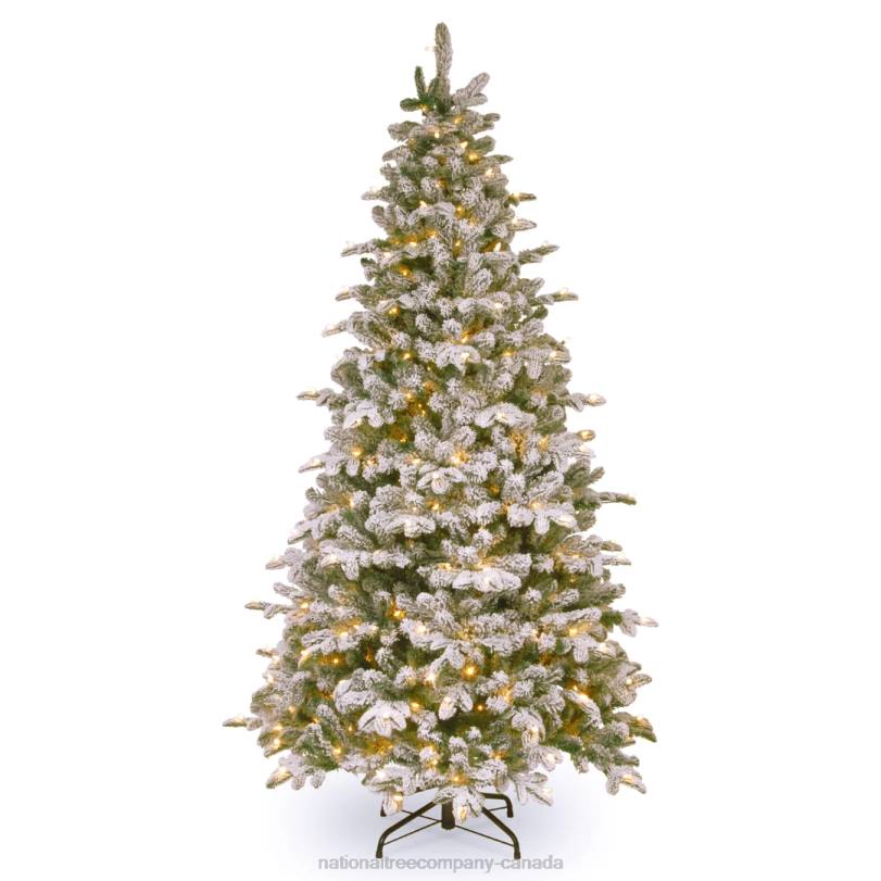 H4X0146National Tree Company Pre-Lit 'Feel Real' Artificial Christmas Tree, Everest Fir, Green, White Lights, Includes Stand, 6.5 Feet
