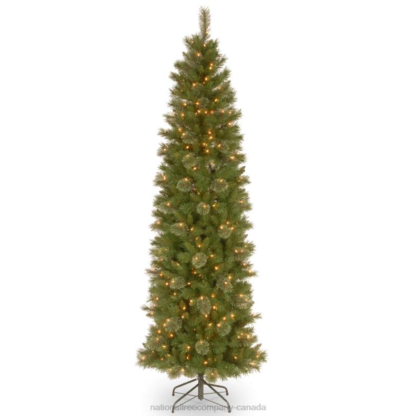 H4X0147National Tree Company Pre-Lit Artificial Slim Christmas Tree, Tacoma Pine, Green, White Lights, Includes Stand, 6.5 Feet