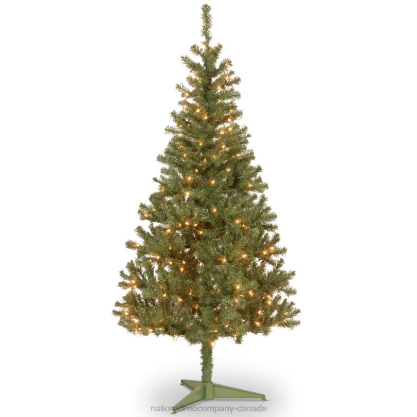 H4X0150National Tree Company Pre-Lit Artificial Full Christmas Tree, Green, Canadian Fir Grande, White Lights, Includes Stand, 6 Feet