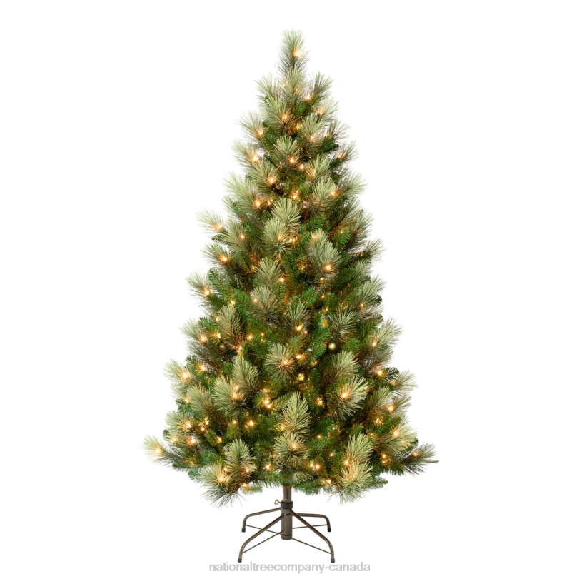 H4X0154National Tree Company First Traditions Pre-Lit Charleston Pine Snowy Slim Christmas Tree, Clear Incandescent Lights, Plug In, 6 ft