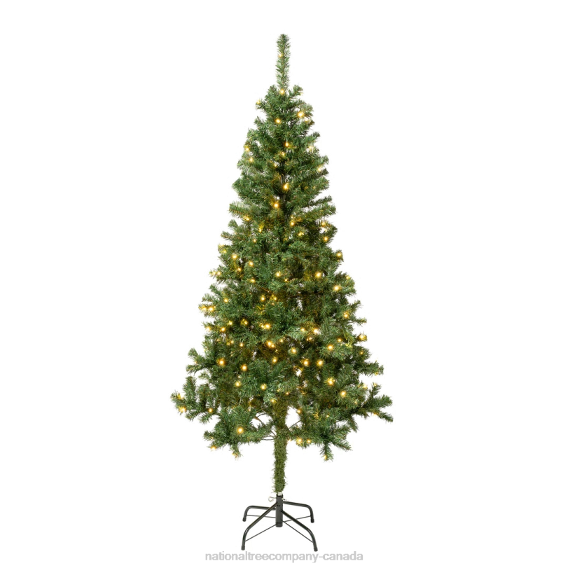 H4X0184National Tree Company First Traditions Pre-Lit Artificial Linden Spruce Christmas Tree, Warm White LED Lights, Plug In, 6 ft