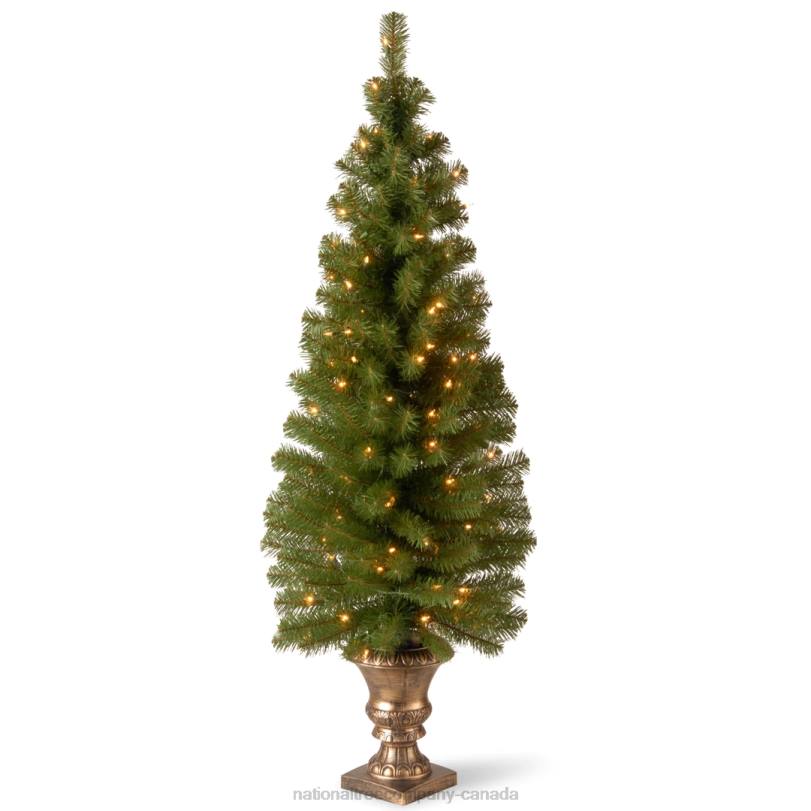 H4X027National Tree Company Pre-Lit Artificial Entrance Christmas Tree, Montclair Spruce, Green, White Lights, Includes Metal Base, 5 Feet