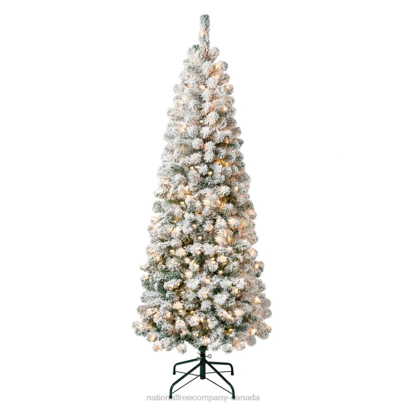 H4X041National Tree Company First Traditions Pre-Lit Acacia Flocked Tree Medium Christmas Tree, Clear Incandescent Lights, Plug In, 6 ft