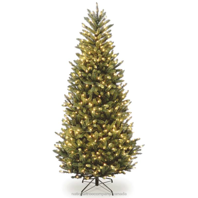 H4X054National Tree Company Pre-Lit 'Feel Real' Artificial Slim Christmas Tree, Green, Natural Fraser Fir, White Lights, Includes Stand, 6.5 Feet