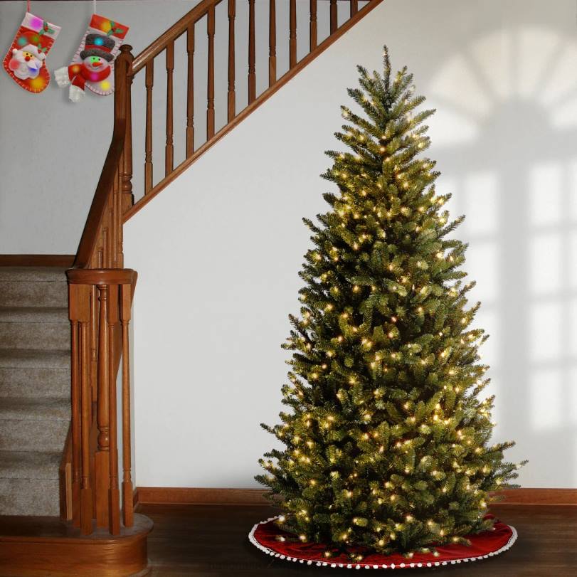 H4X054National Tree Company Pre-Lit 'Feel Real' Artificial Slim Christmas Tree, Green, Natural Fraser Fir, White Lights, Includes Stand, 6.5 Feet