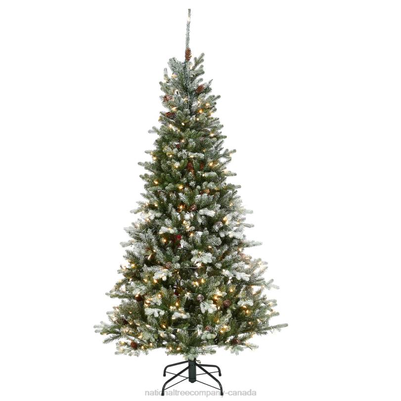 H4X072National Tree Company 6.5 ft Snowy Morgan Spruce Slim Tree with Clear Lights