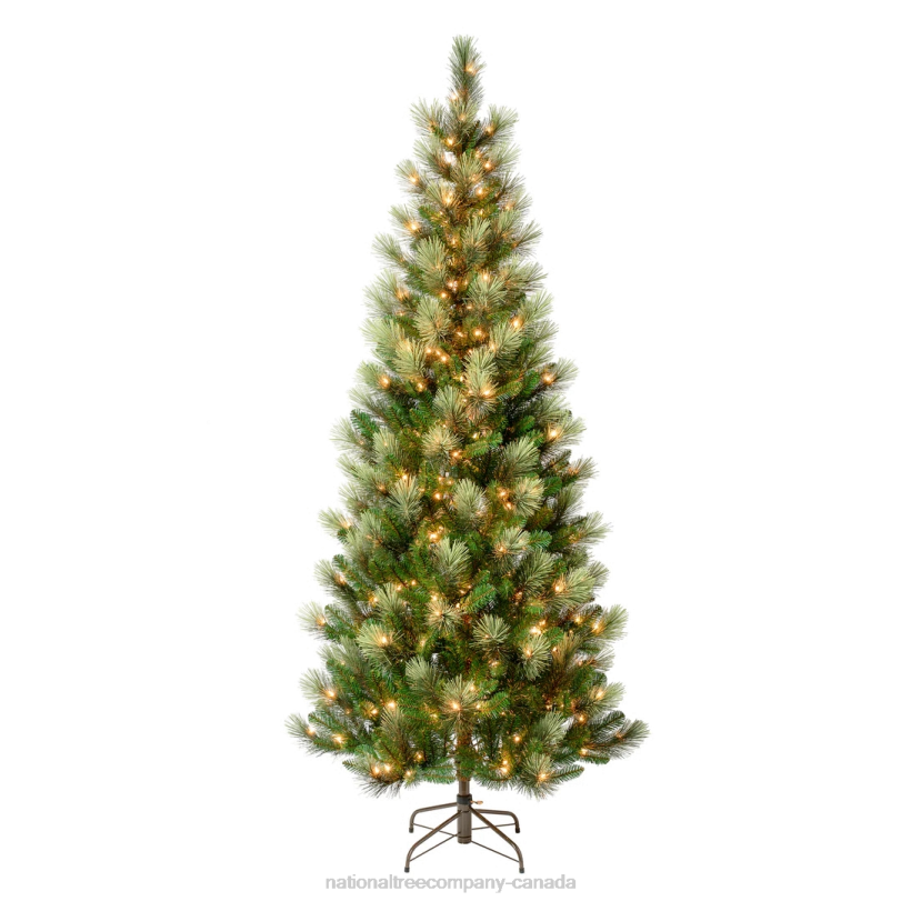 H4X0113National Tree Company First Traditions Pre-Lit Charleston Pine Snowy Slim Christmas Tree, Clear Incandescent Lights, Plug In, 7.5 ft