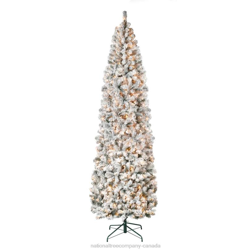 H4X0116National Tree Company First Traditions Pre-Lit Acacia Flocked Tree Slim Christmas Tree, Clear Incandescent Lights, Plug In, 9 ft