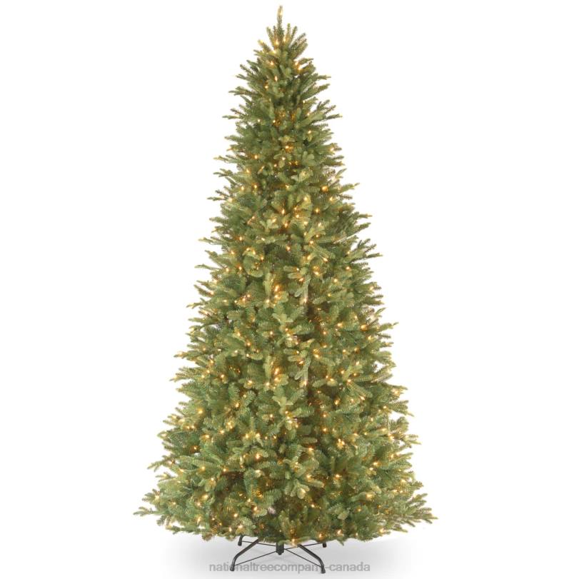 H4X0139National Tree Company Pre-Lit 'Feel Real' Artificial Slim Christmas Tree, Green, Tiffany Fir, White Lights, Includes Stand, 9 Feet