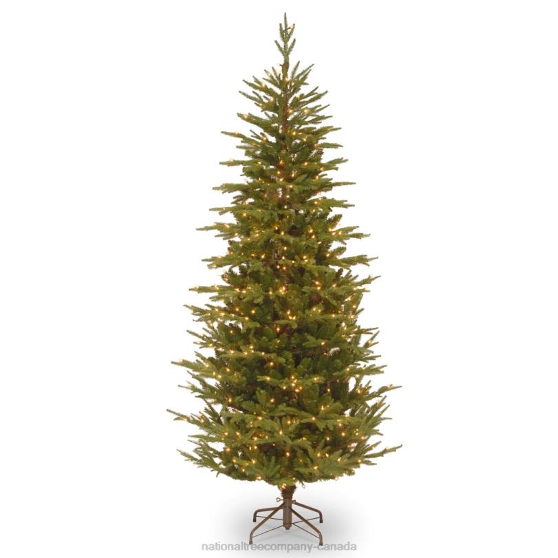 H4X015National Tree Company Pre-Lit 'Feel Real' Artificial Slim Christmas Tree, Green, Frasier Grande, White Lights, Includes Stand, 7.5 Feet