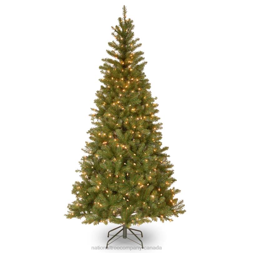 H4X0179National Tree Company Pre-Lit Artificial Slim Christmas Tree, Green, Aspen Spruce, White Lights, Includes Stand, 7 Feet