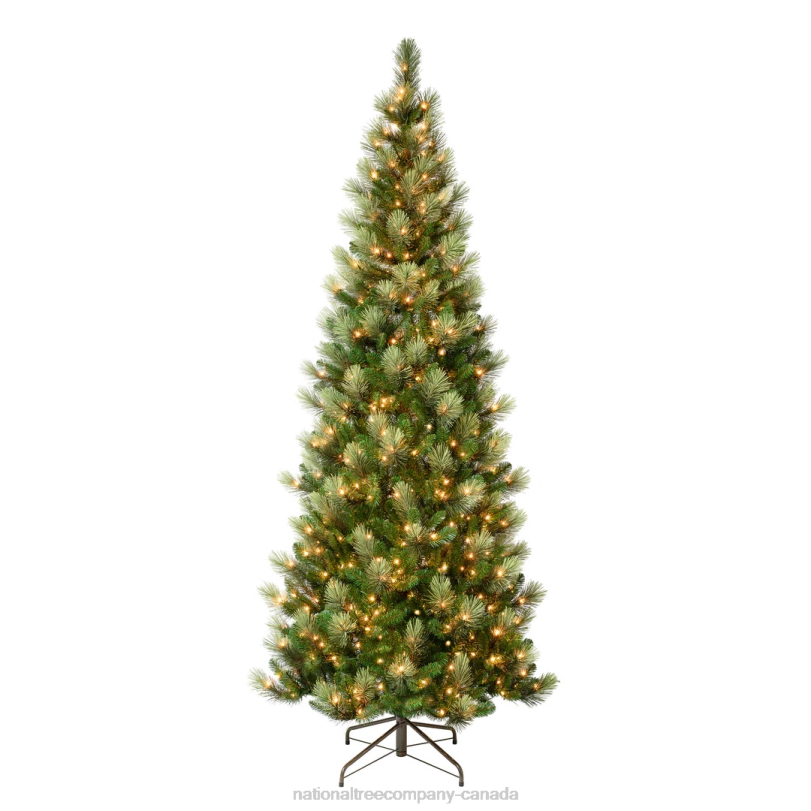 H4X0186National Tree Company First Traditions Pre-Lit Charleston Pine Snowy Slim Christmas Tree, Clear Incandescent Lights, Plug In, 9 ft