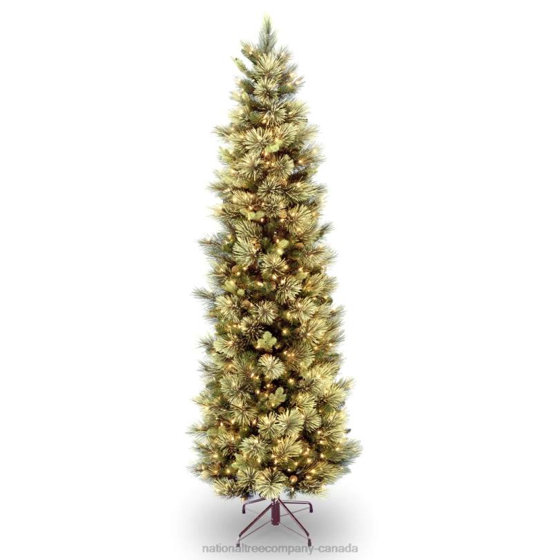 H4X0190National Tree Company Pre-Lit Artificial Full Christmas Tree, Green, Carolina Pine, White Lights, Flocked with Pine Cones, Includes Stand, 7 feet