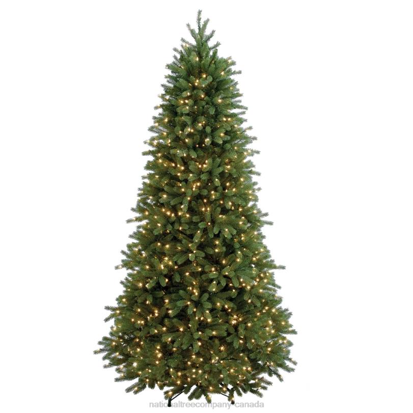 H4X03National Tree Company Pre-Lit Slim Artificial Christmas Tree, Green, Jersey Fraser Fir, 'Feel Real', White Lights, Includes Stand, 7.5 Feet