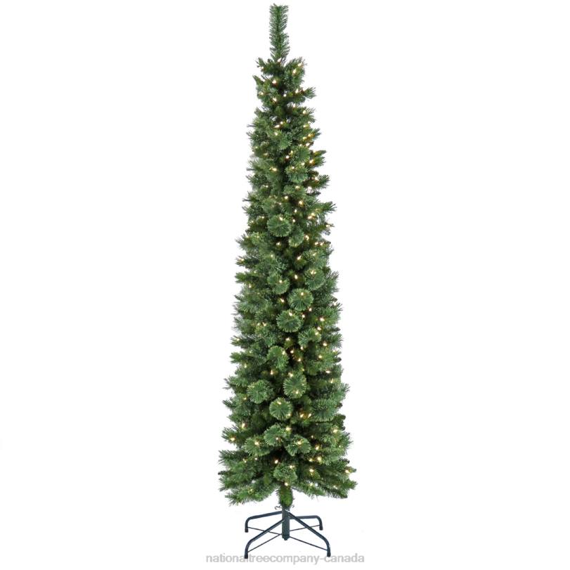 H4X059National Tree Company 7 ft. Pre-Lit Curtis Pine Pencil Slim Tree with LED Lights