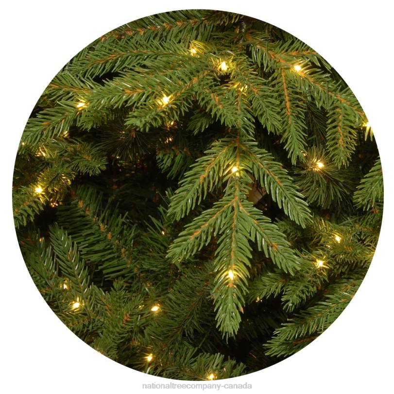 H4X09National Tree Company Pre-Lit 'Feel Real' Artificial Slim Christmas Tree, Green, Nordic Spruce, White Lights, Includes Stand, 7.5 feet