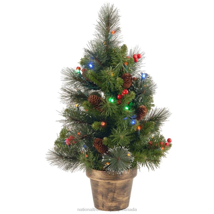 H4X0131National Tree Company Pre-Lit Artificial Mini Christmas Tree, Green, Crestwood Spruce, Multicolor Lights, Decorated with Pine Cones, Berry Clusters, Frosted Branches, Includes Pot Base, 2 Feet