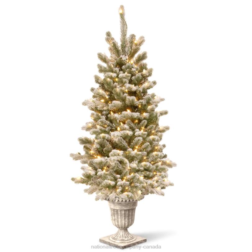H4X0138National Tree Company Pre-Lit Artificial Christmas Entrance Tree, Snowy Sheffield Spruce with Twinkly LED Lights, Plug in, 4 ft