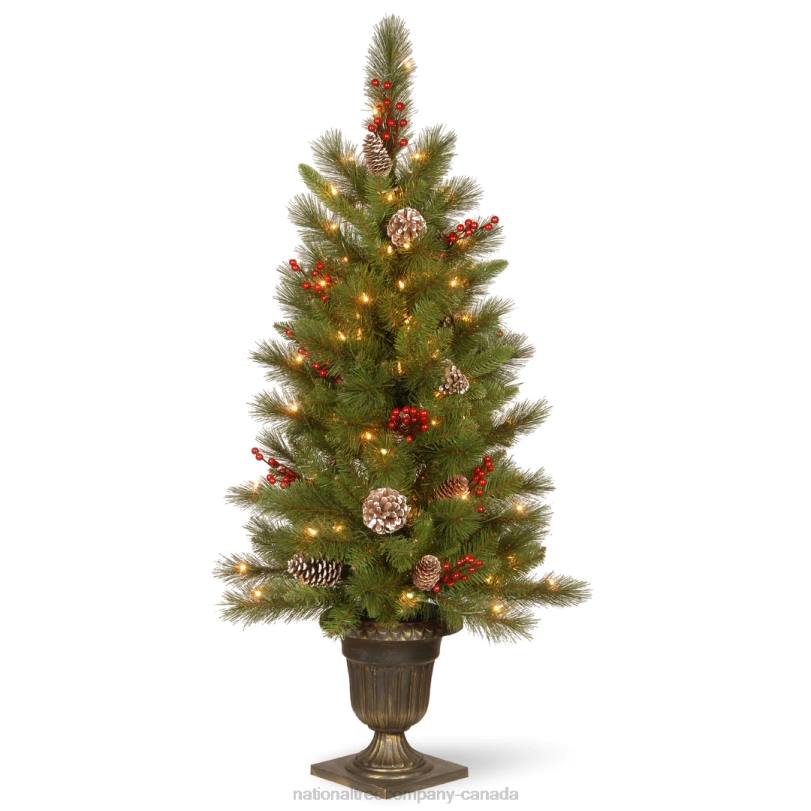 H4X0151National Tree Company Pre-Lit Artificial Entrance Christmas Tree, Bristle Berry Pine, Green, White Lights, Decorated with Berry Clusters, Pine Cones, Includes Metal Base, 4 Feet