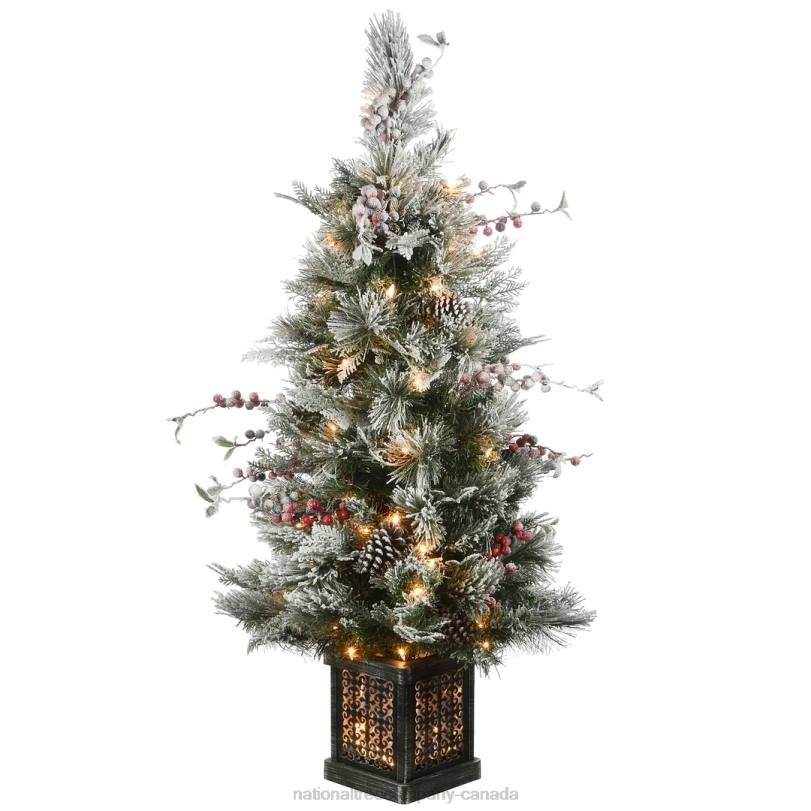 H4X016National Tree Company 4 ft. Snowy Bedford Pine Entrance Tree with Clear Lights