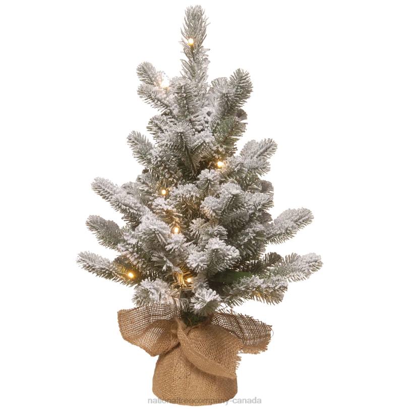 H4X0177National Tree Company Pre-Lit Artificial Christmas Tree, Green, Snowy Sheffield Spruce, White LED Lights, Includes Cloth Bag Base, Battery Operated, 24 Inches