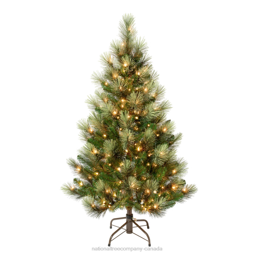 H4X0217National Tree Company First Traditions Pre-Lit Charleston Pine Snowy Slim Christmas Tree, Clear Incandescent Lights, Plug In, 4.5 ft