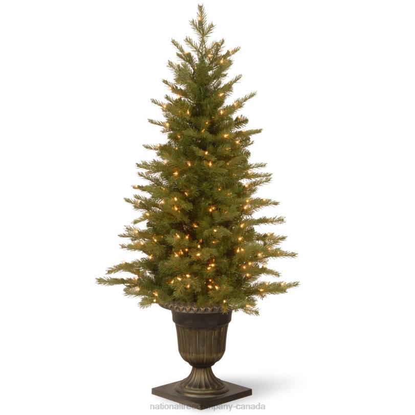 H4X048National Tree Company Pre-Lit 'Feel Real' Artificial Mini Entrance Christmas Tree, Green, Nordic Spruce, White Lights, Includes Decorative Urn Base, 4 Feet