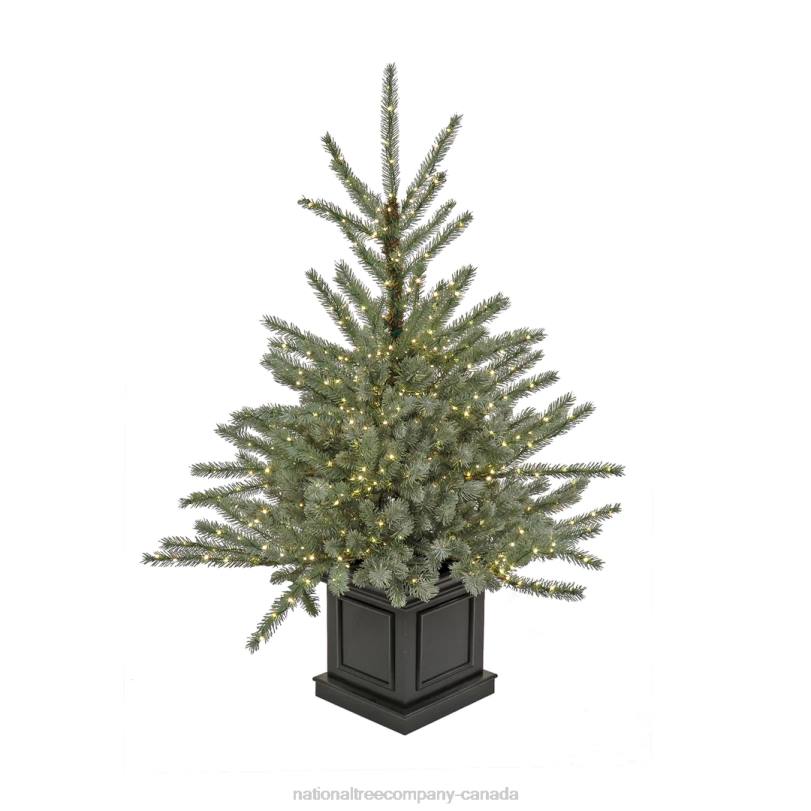 H4X071National Tree Company Pre-Lit Artificial Christmas Entrance Tree, Blue Evergreen , Dual Rice LED Lights, Plug in, 48 in