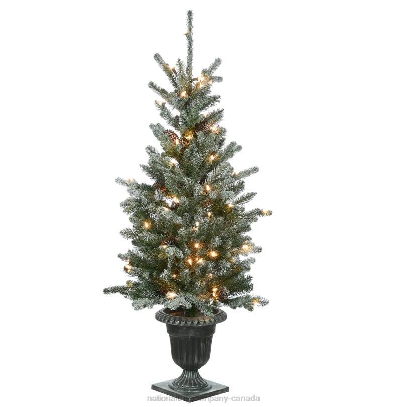H4X089National Tree Company 4 ft Snowy Morgan Spruce Entrance Tree with Clear Lights