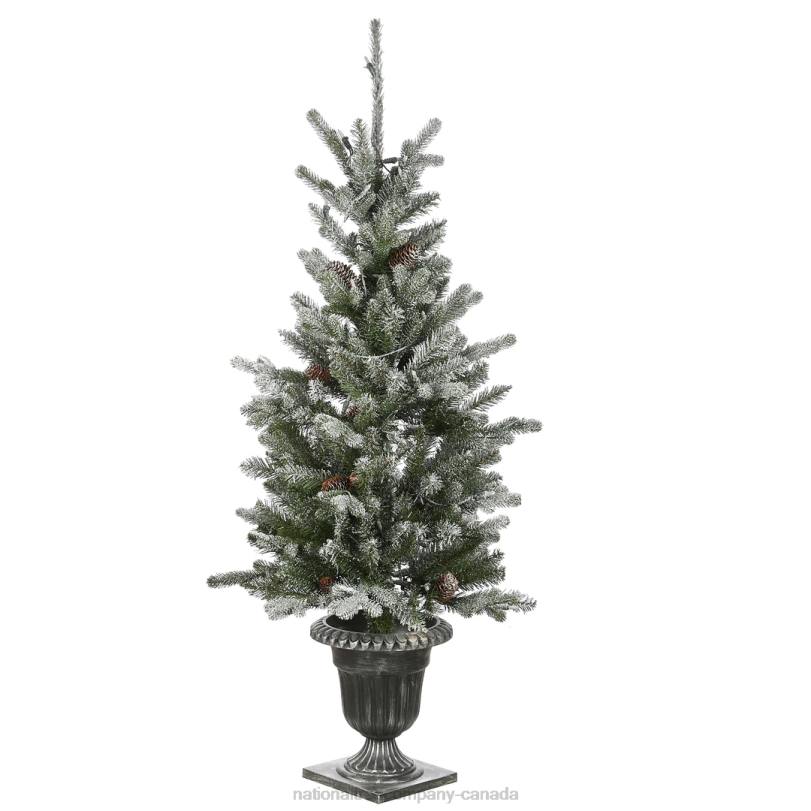 H4X089National Tree Company 4 ft Snowy Morgan Spruce Entrance Tree with Clear Lights