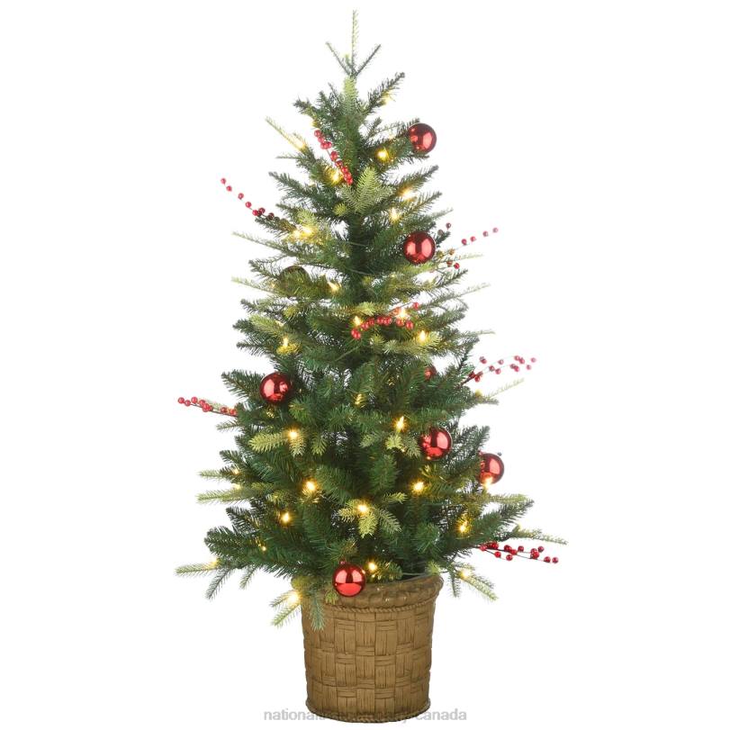 H4X094National Tree Company Pre-Lit Artificial Christmas Entrance Tree, Scotch Creek Fir, with Warm White LED Lights, Plug in, 4 ft